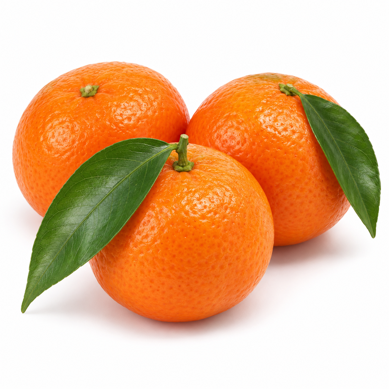 Illustration of Nour clementine on a white background