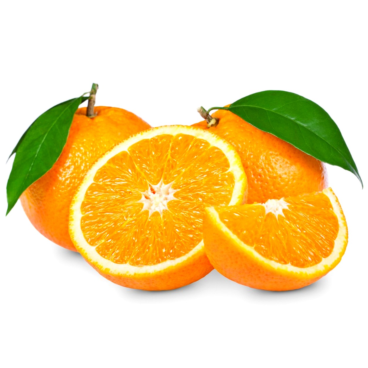Illustration of Salustiana on a white background