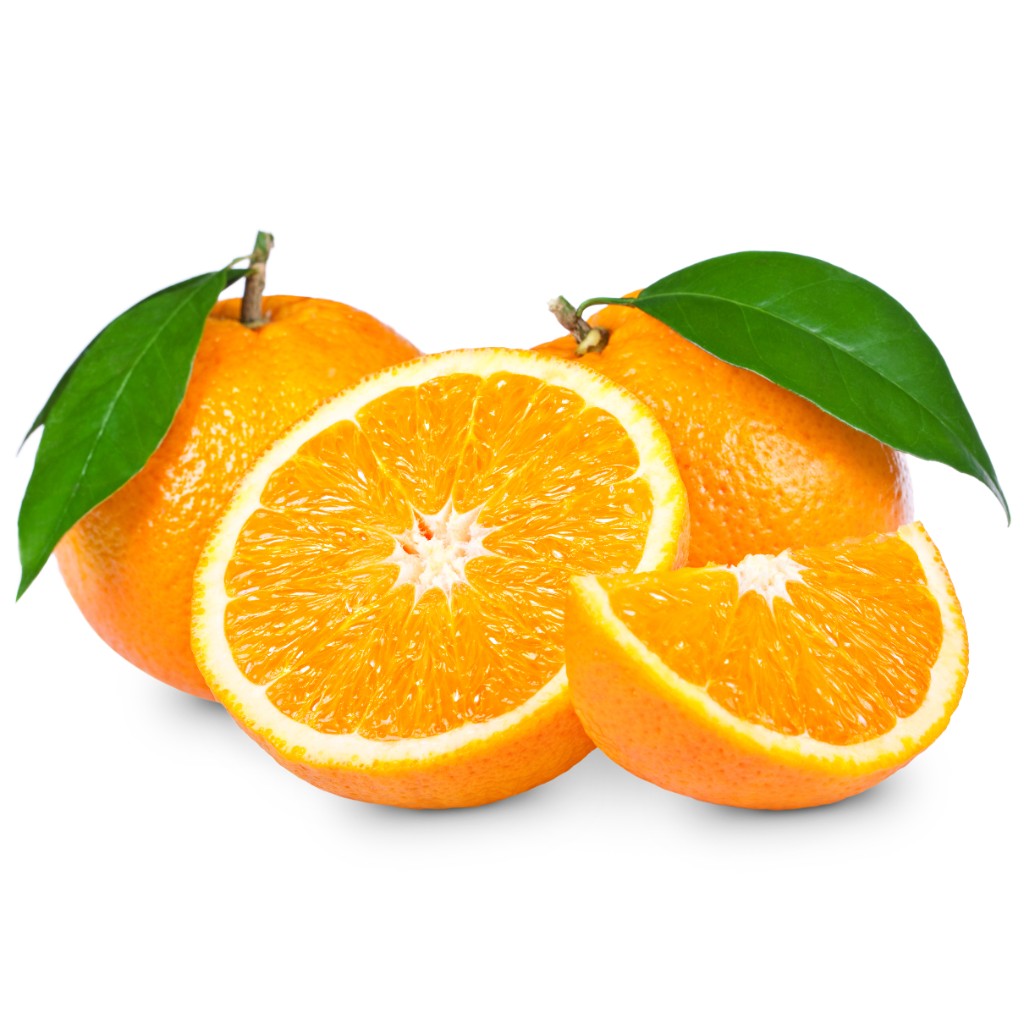 Illustration of Maroc Late on a white background
