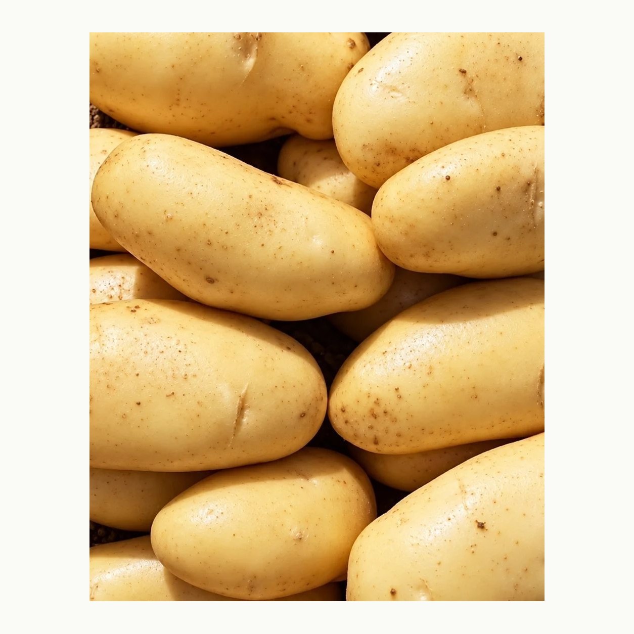 Illustration of Egyptian potatoes on a white background